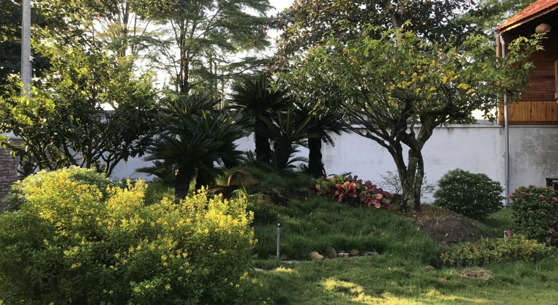 Quán cafe sân vườn